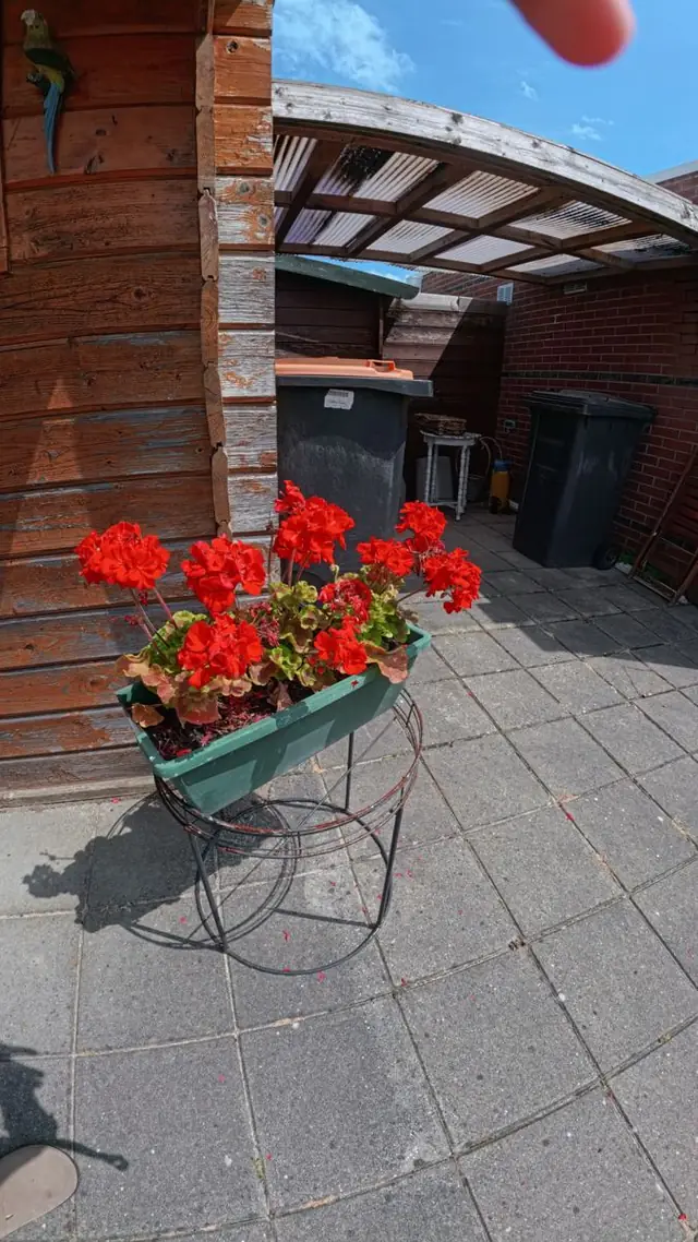 Fotografie van Arjan Gaal — 06 &mdash; Rood op de stoep